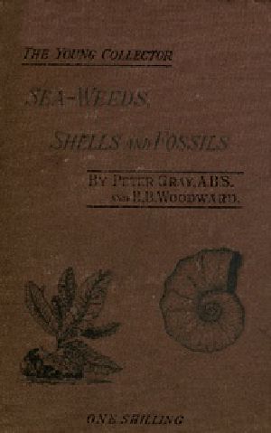 [Gutenberg 37119] • Sea-Weeds, Shells and Fossils